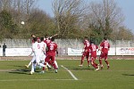 Azione Adriese Azione Adriese
